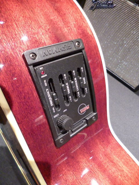 Aria Elecord FEB-DLXN アコースティックエレクトリックベース 商品